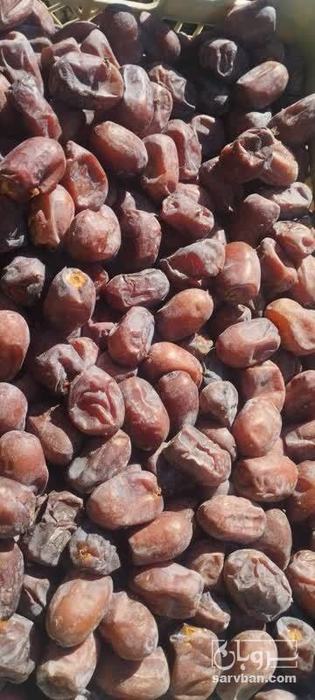 فروش خرما کلوته