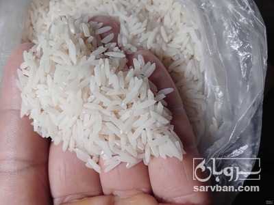 فروش برنج علی کاظمی