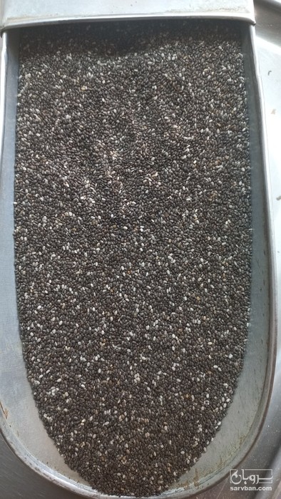 فروش دانه چیا