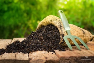 فروش کود ماهی