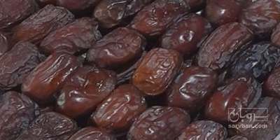 فروش خرماکلوته