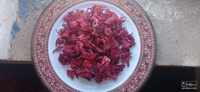 فروش چای ترش