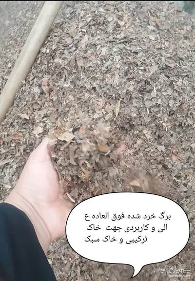 فروش برگ خورد شده