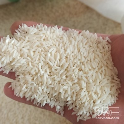 فروش برنج هاشمی