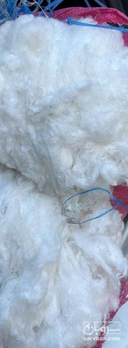فروش پنبه حلاجی شده
