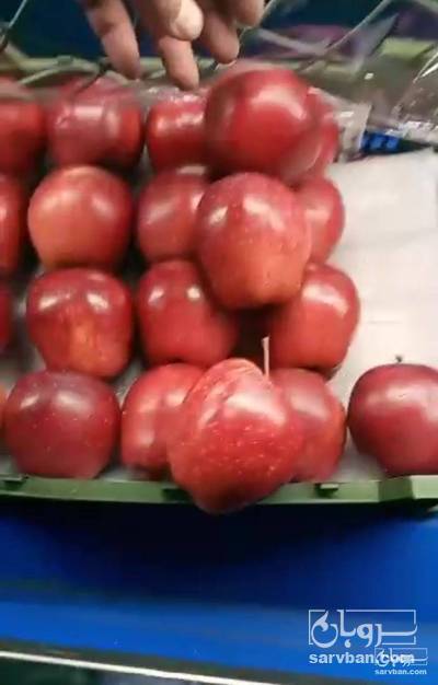 فروش سیب قرمز