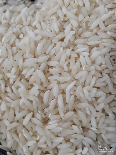 فروش برنج عنبربو امساله مستقیم از درب کارخانه شالیکوبی
