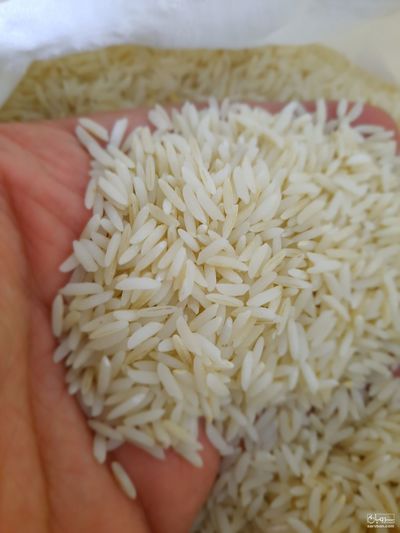 فروش برنج طارم هاشمی