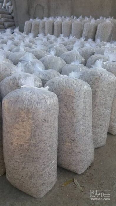 فروش تفاله سیب درختی