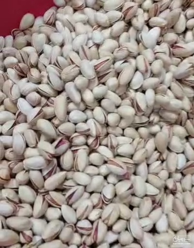 فروش پسته احمد اقایی انس۲۴-۲۶