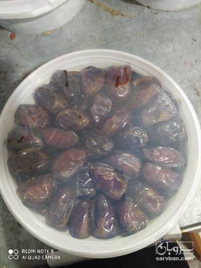 فروش خرما هلیله