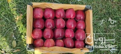 فروش سیب قرمز