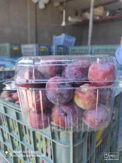 فروش آلو سیاه