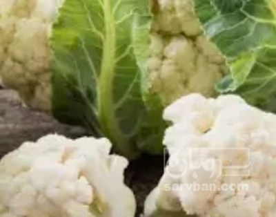 فروش گل کلم