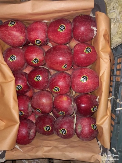 فروش سیب قرمز