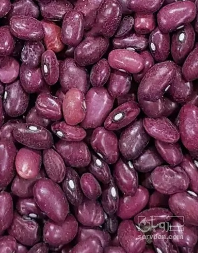 فروش لوبیا قرمز