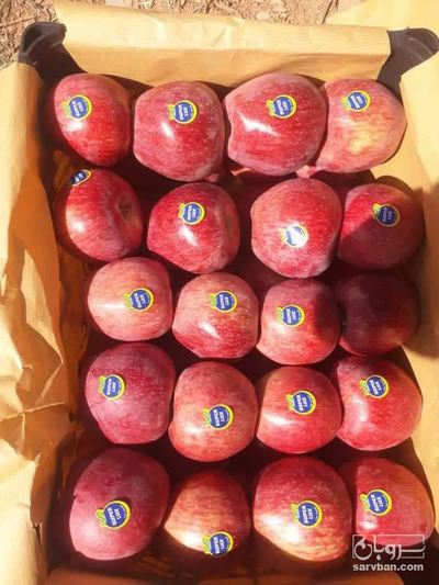 فروش سیب قرمز