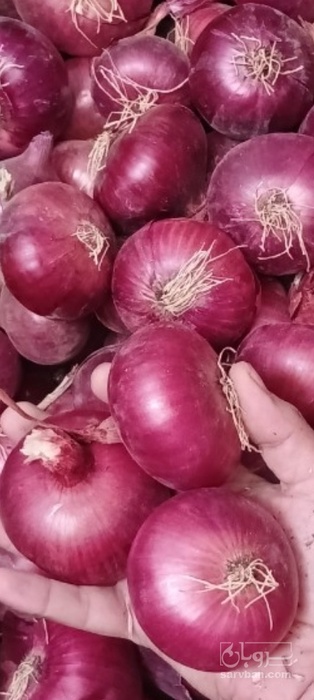 فروش پیاز قرمز