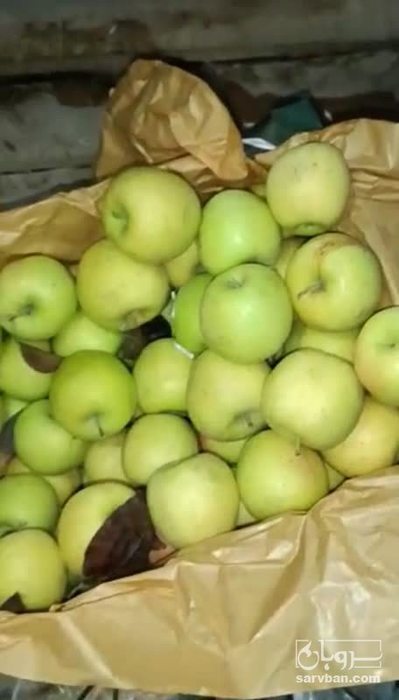 فروش سیب زرد