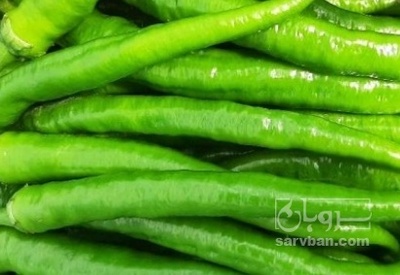فروش فلفل سبز شمشیری