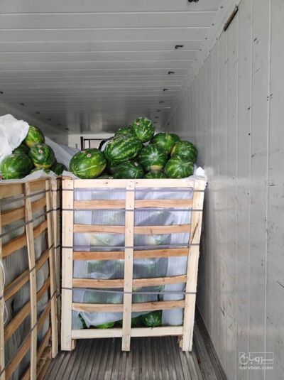 فروش هندوانه