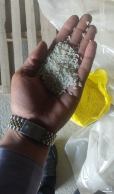 فروش برنج