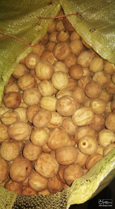 فروش لیمو عمانی