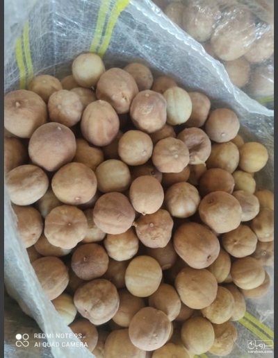 فروش لیمو عمانی