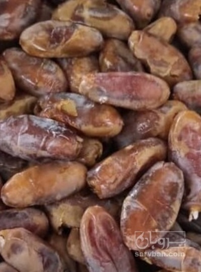 فروش خرما شاهانی