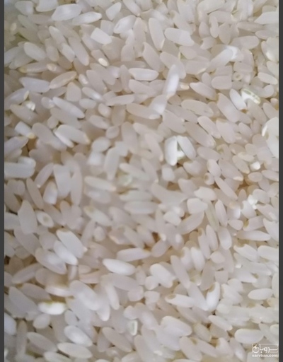 فروش برنج