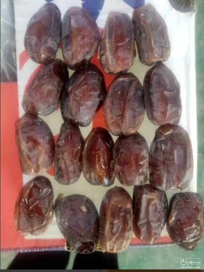 فروش خرما