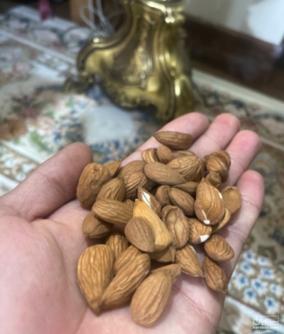 فروش بادام