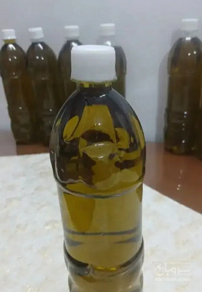 فروش روغن زیتون بکر با بو