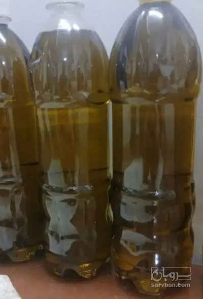 فروش روغن زیتون بکر با بو