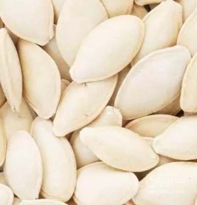 فروش تخمه  کدو