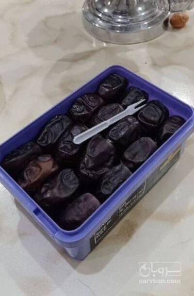 فروش خرما مضافتی