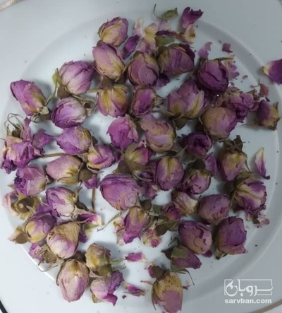 فروش گل محمدی