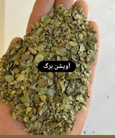 فروش برگ آویشن (گیاه‌ دارویی)