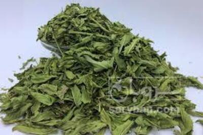 فروش نعناع خشک (گیاه‌ دارویی)