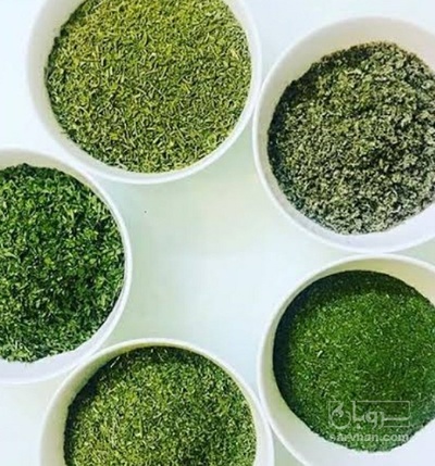 فروش شوید خشک (گیاه‌ دارویی)