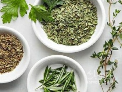 فروش گشنیز خشک