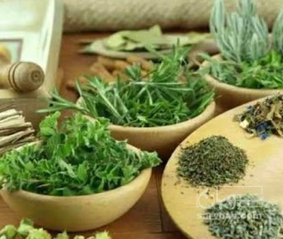 فروش تره خشک