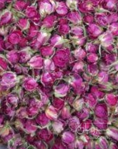 فروش غنچه گل محمدی (گیاه‌ دارویی)