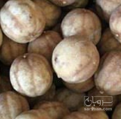 فروش لیمو خشک