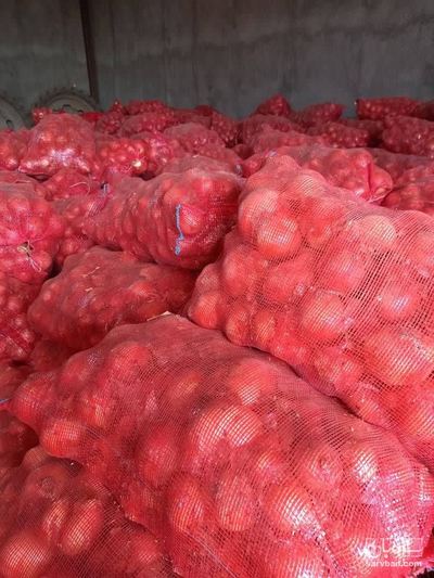 فروش پیاز زرد