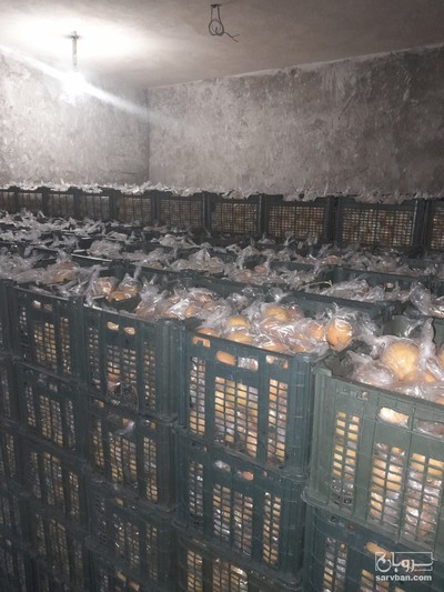 فروش لیمو شیرین