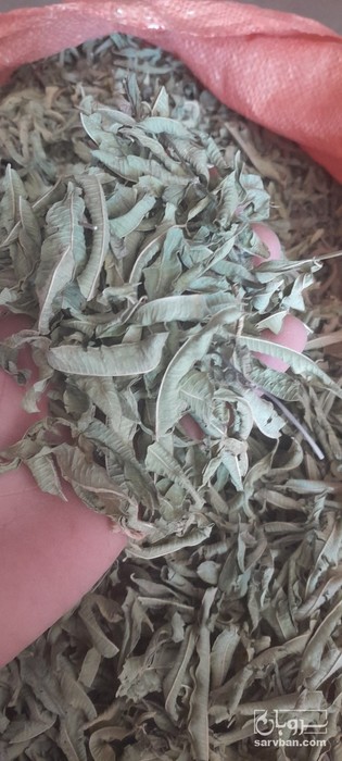 فروش به لیمو (ورون)