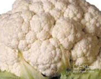 فروش گل کلم