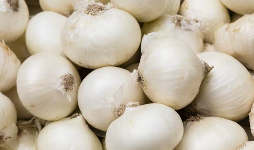 فروش پیاز سفید