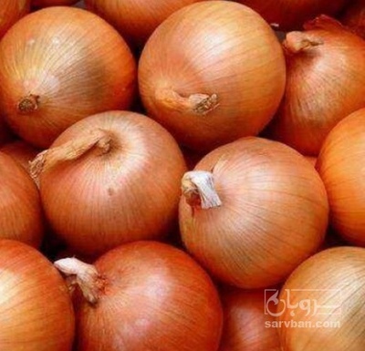 فروش پیاز زرد